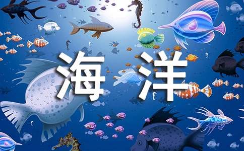 保护海洋的作文600字