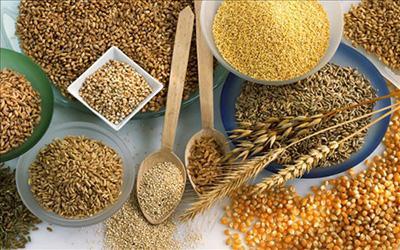 【上海期货塑料行情,2021塑料期货】