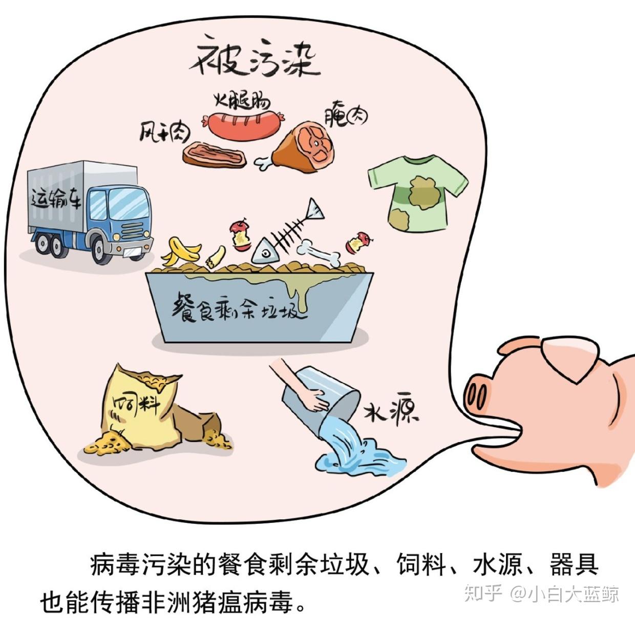 疫情从几月几日开始的呢（疫情从几月几日开始的呢英语）