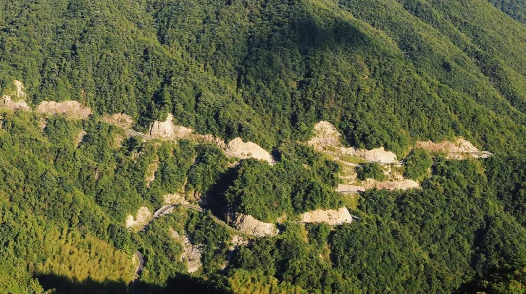 疫情地图疫情情况/疫情地图最新数据