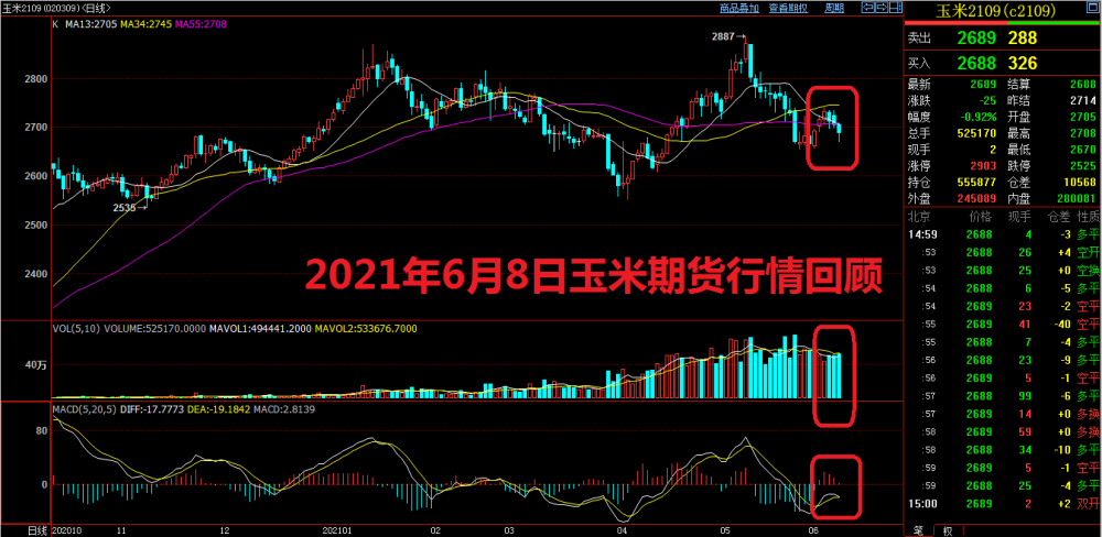 玉米期货行情_/今日玉米期货行情