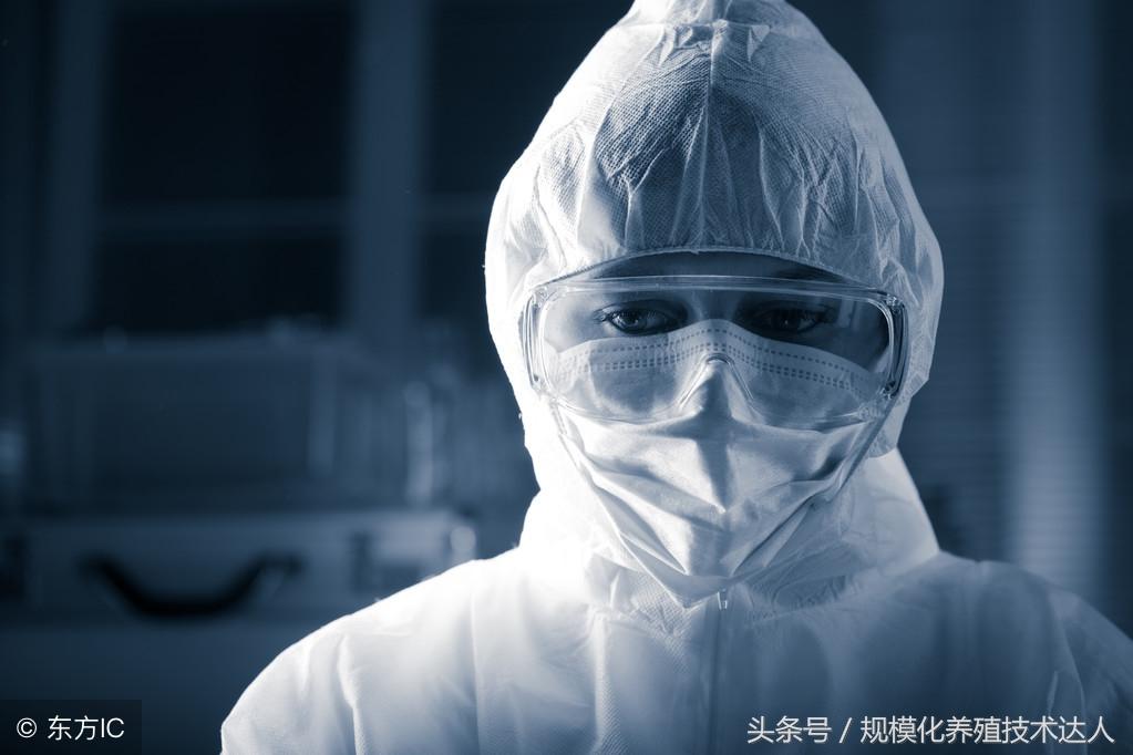 酸醋期货行情/醋酸行情走势