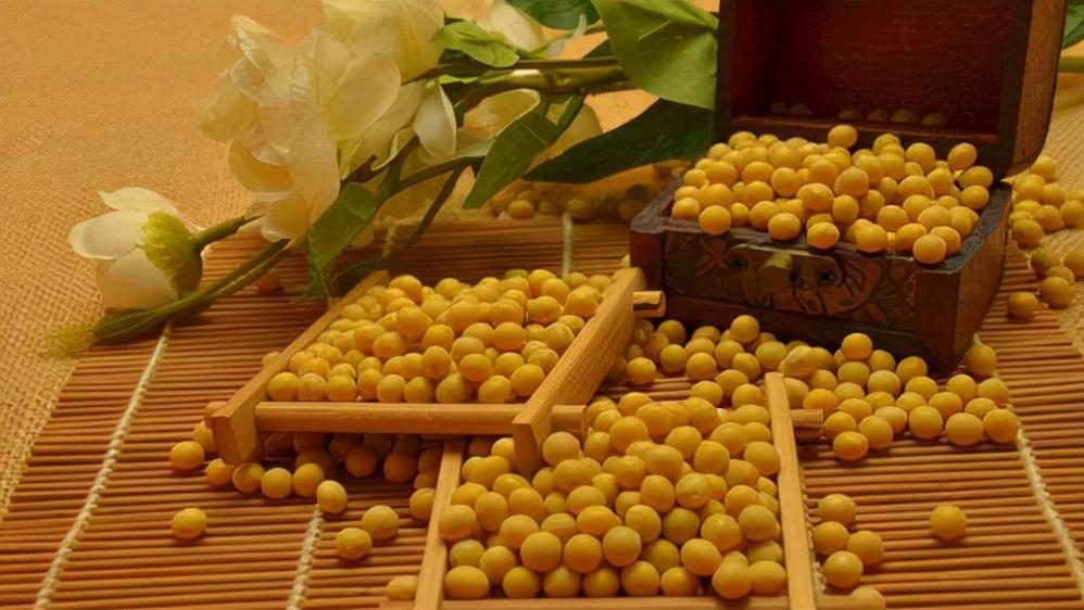 期货的行情归纳:期货行情的分析