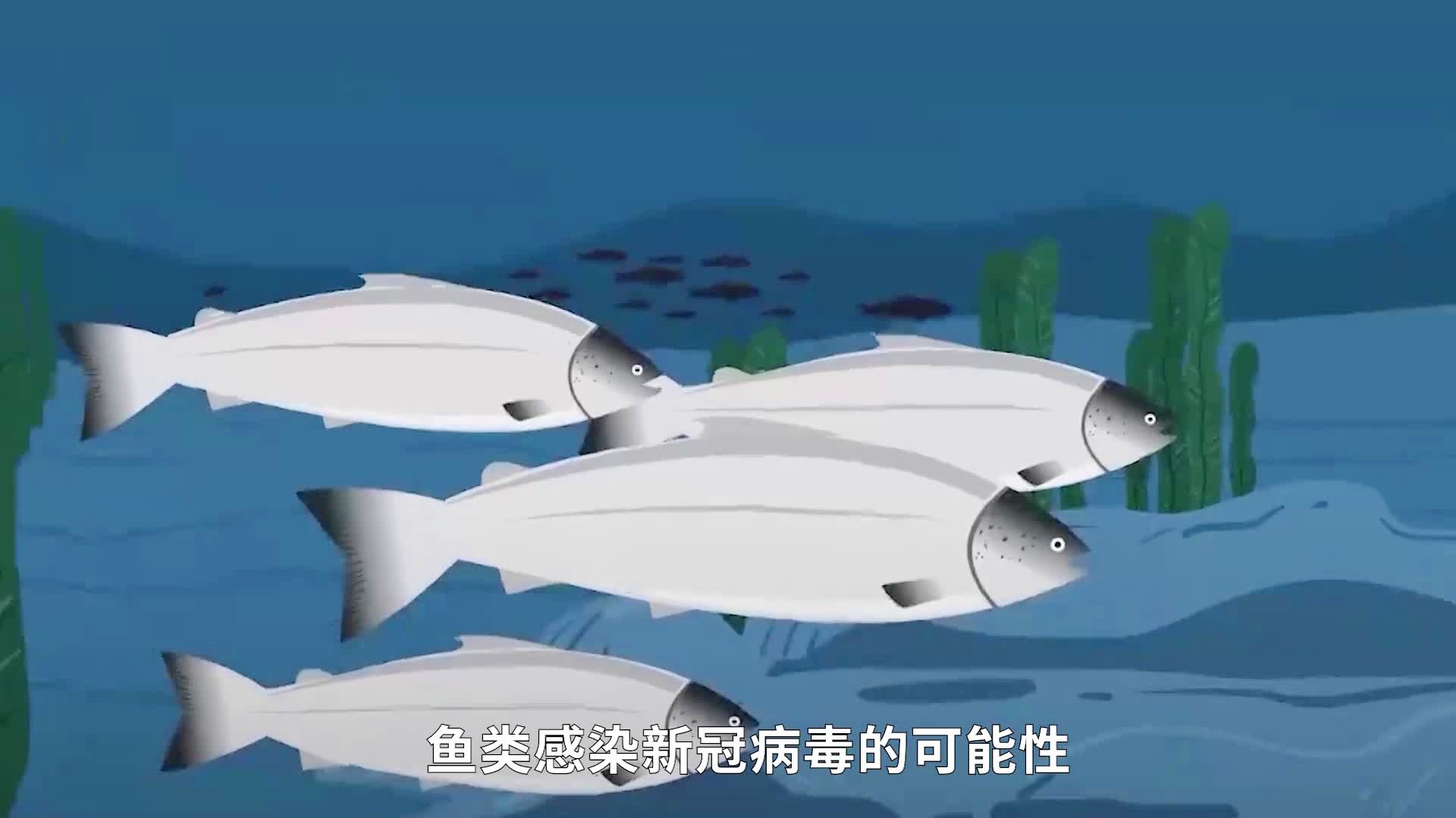鱼疫情的简单介绍
