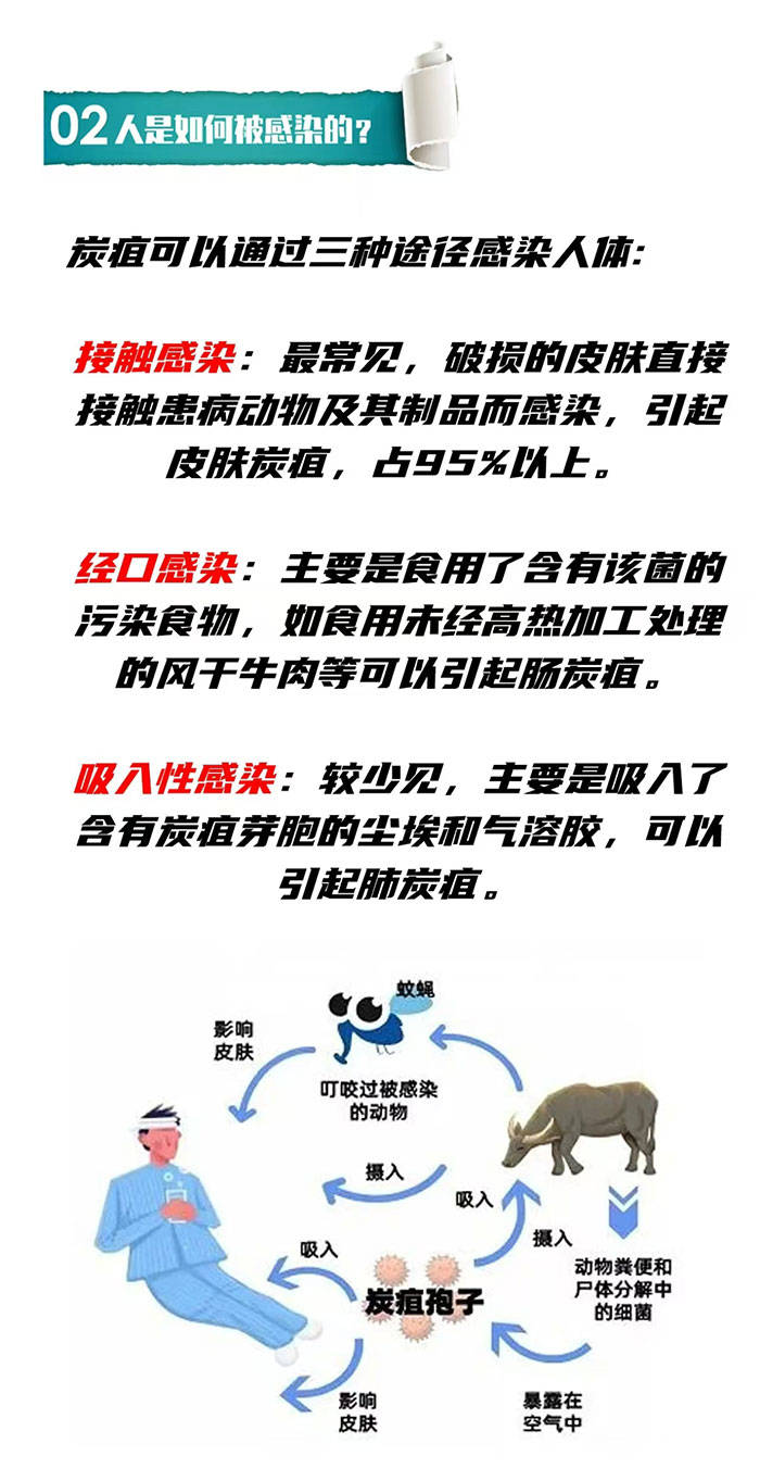 炭疽疫情/炭疽疫情处理规范
