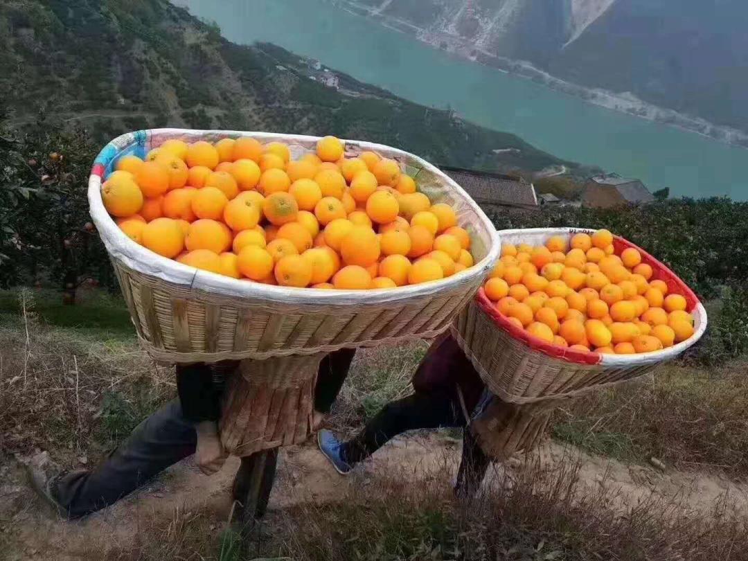 疫情是什么时候开始的准确（疫情是什么时候开始的2021）