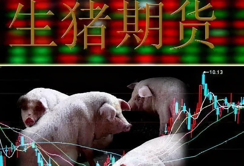 期货行情方向/期货行情中
