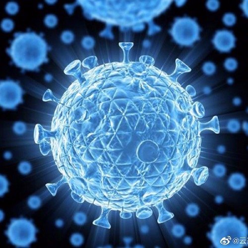 疫情哪天开始出现的/疫情哪天开始出现的病毒 疫情哪天开始出现的/疫情哪天开始出现的病毒