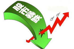 股灾后的股指期货行情:股灾后果