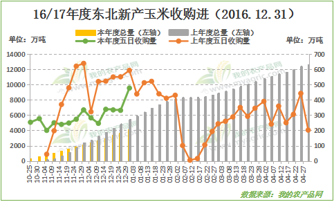 广州玉米期货行情（广州玉米批发市场地址）