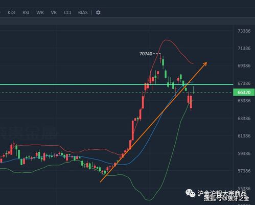石油反弹期货行情/石油反弹期货行情最新消息