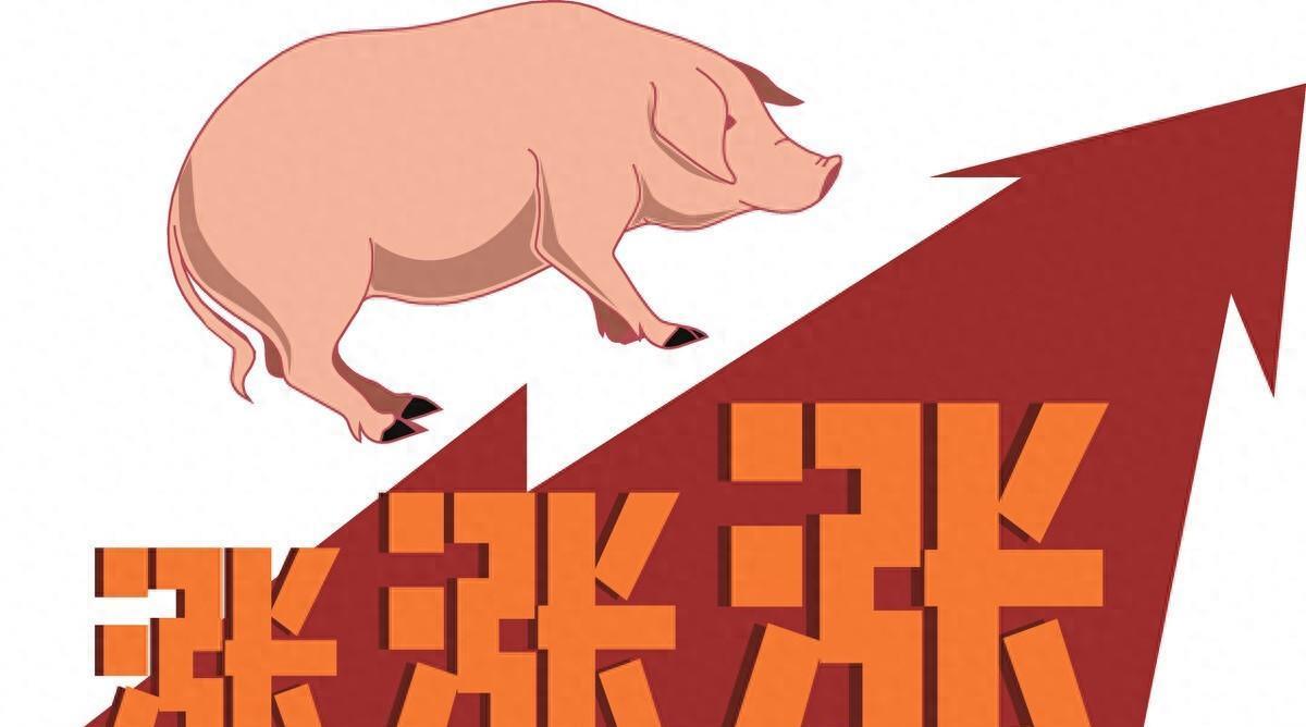 猪肉期货行情预测/猪肉期货价格预测