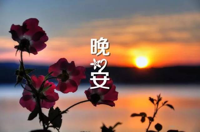 疫情正能量短句唯美:疫情正能量暖心简单一句话 疫情正能量短句唯美:疫情正能量暖心简单一句话