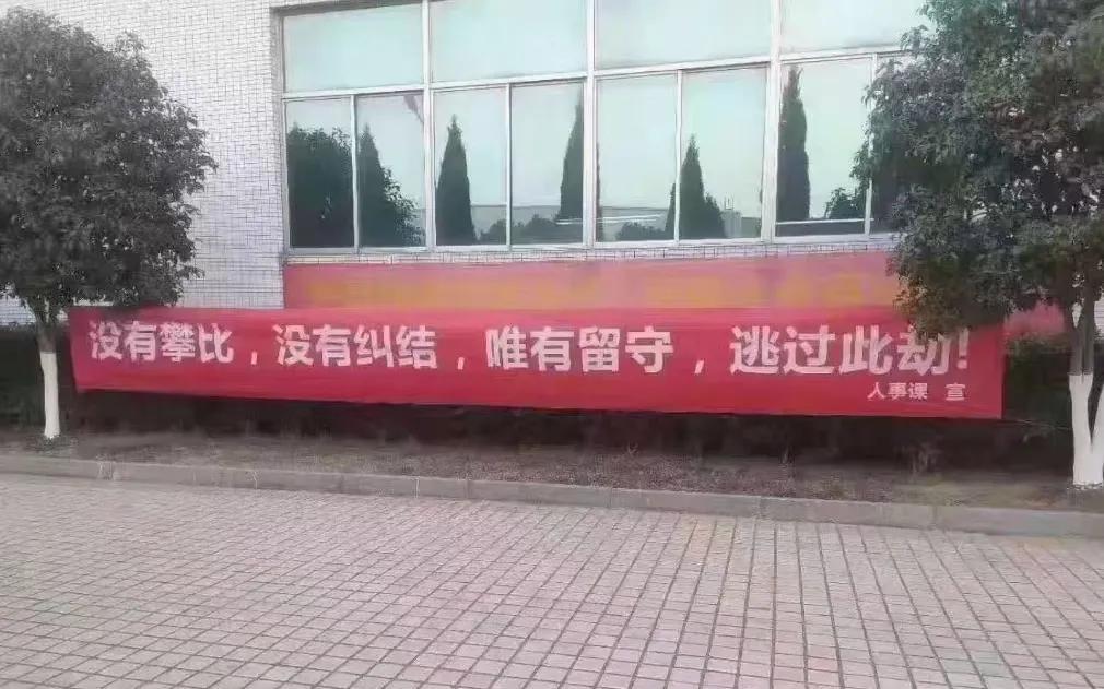 疫情的标语/疫情标语青山比邻