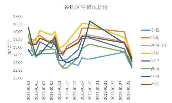【期货怎么推测行情,期货怎么预测涨跌】