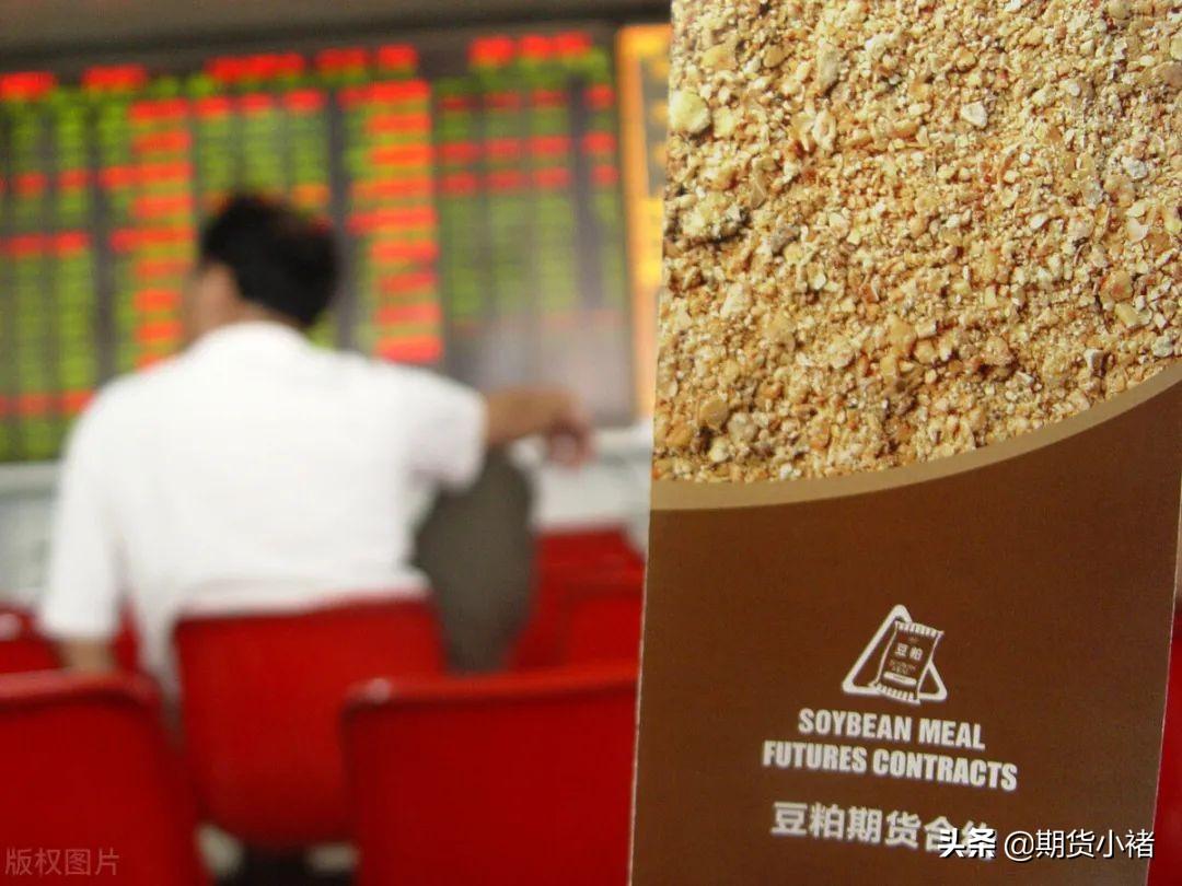 今夜豆粕期货行情/今日豆粕的最新期货