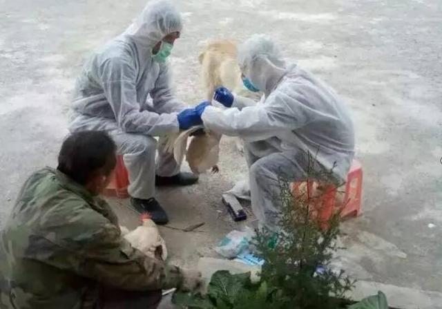 疫情死亡多少:疫情大概死亡多少人