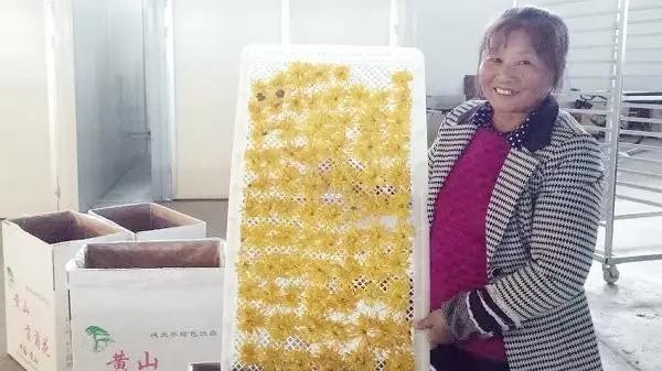 【第二次疫情开始时间是几月几日,第二次疫情阶段什么时候结束】
