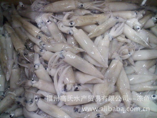 【加州鱿鱼期货行情/加州鱿鱼怎么做好吃】