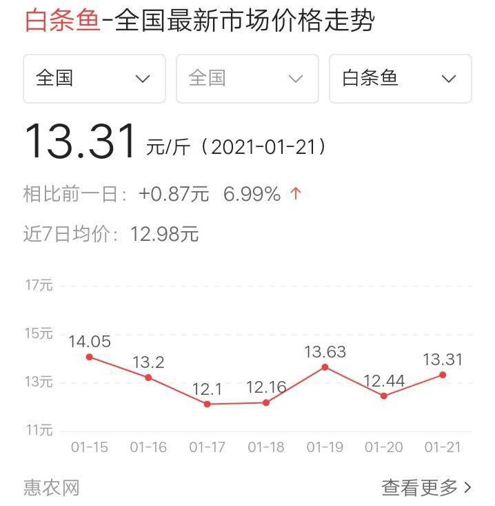 小白条期货行情（小白条市场价多少钱一斤）