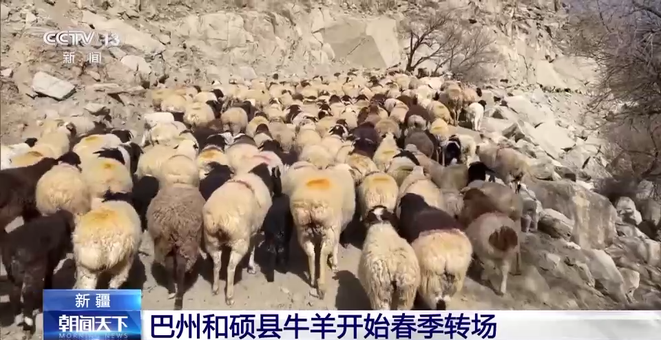 【湖北疫情死了多少人数啊今天/湖北疫情死了多少人数啊今天最新消息】