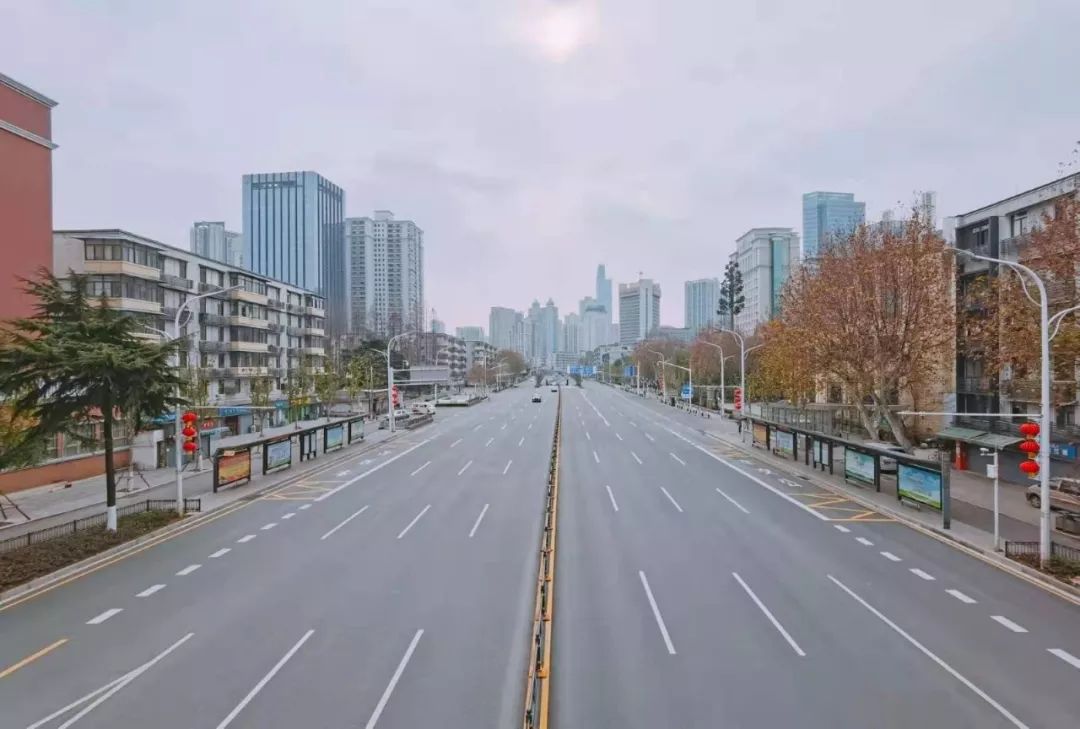 【木材期货行情价格,2021年今日木材期货价格走势】