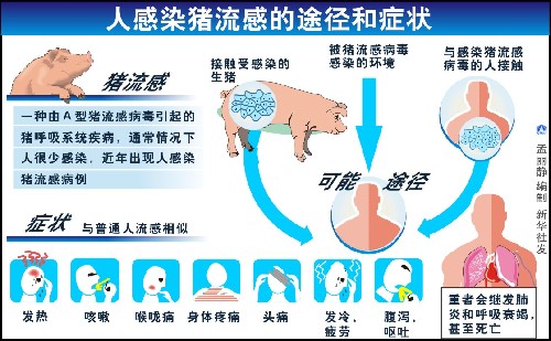 【甲型h1n1流感疫情/甲型H1N1流感疫情】