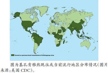 疫情从几月份开始:疫情从几月份到几月份