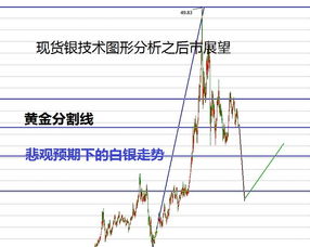 白银期货行情实时/白银期货行情实时行情东方财富