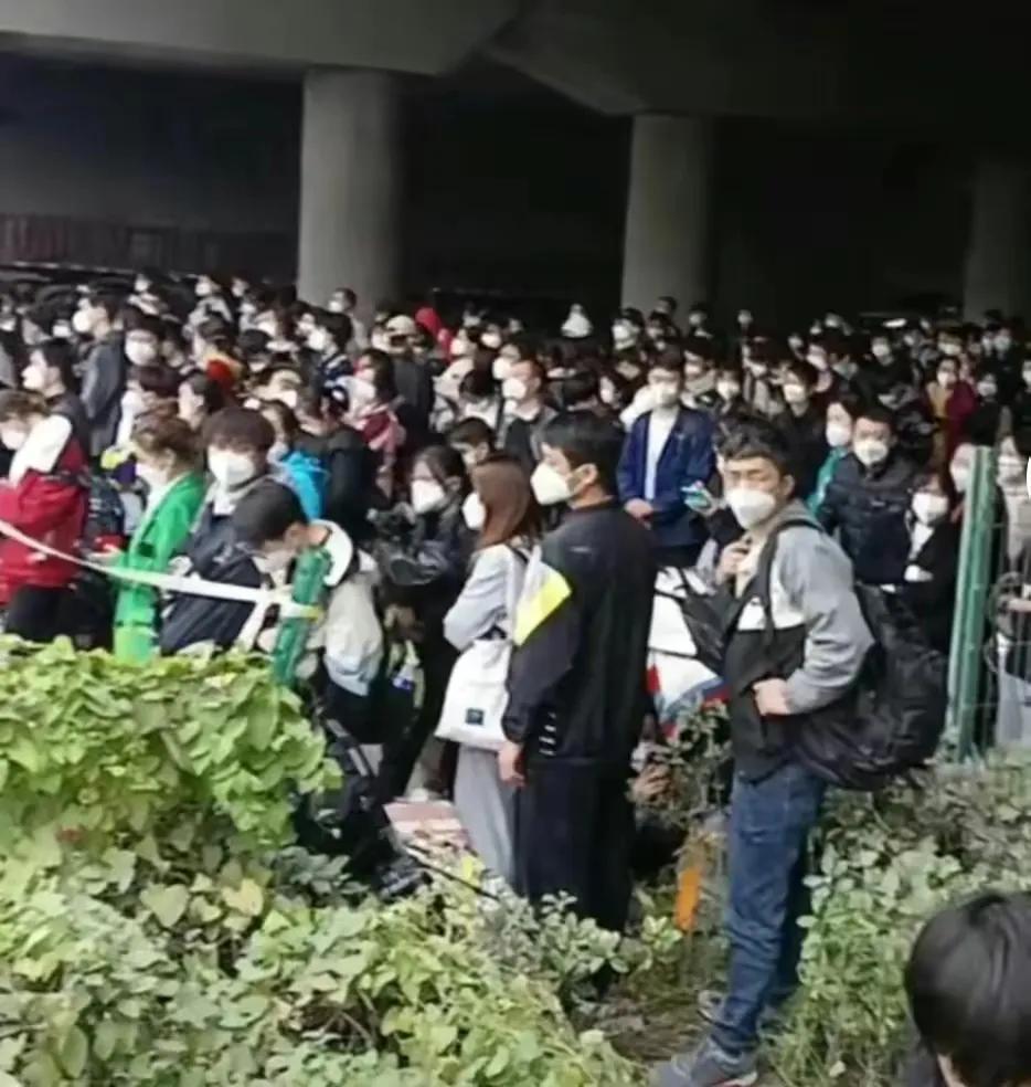 中国疫情今天最新消息/中国疫情今天最新情况