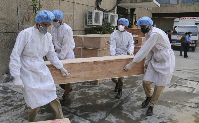 【疫情死亡人数,印度疫情死亡人数】