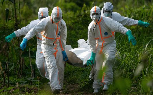 【美国新冠疫情死亡人数占比/美国新冠疫情死亡人数2020】