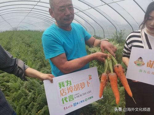 农业部疫情发布:农业部疫情紧急通知
