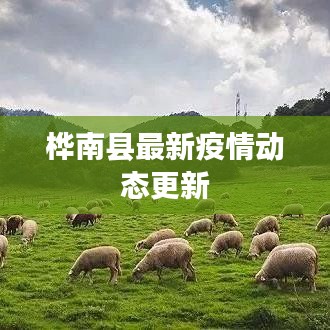 【桦南县疫情,桦南新冠状病毒疫情】