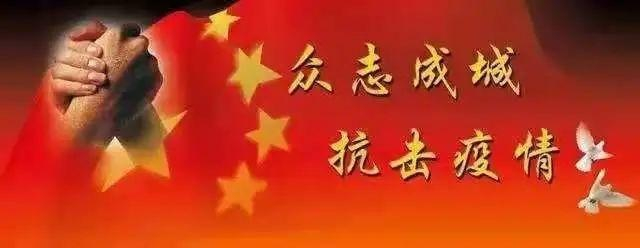 共抗疫情共抗疫情/共抗疫情的意思