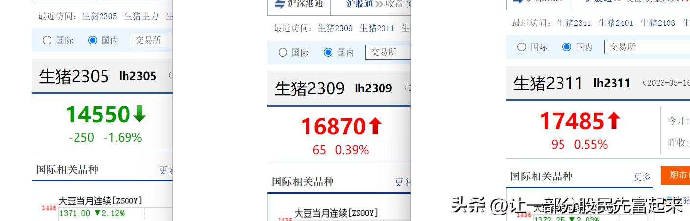 期货化纤行情:期货化纤行情走势