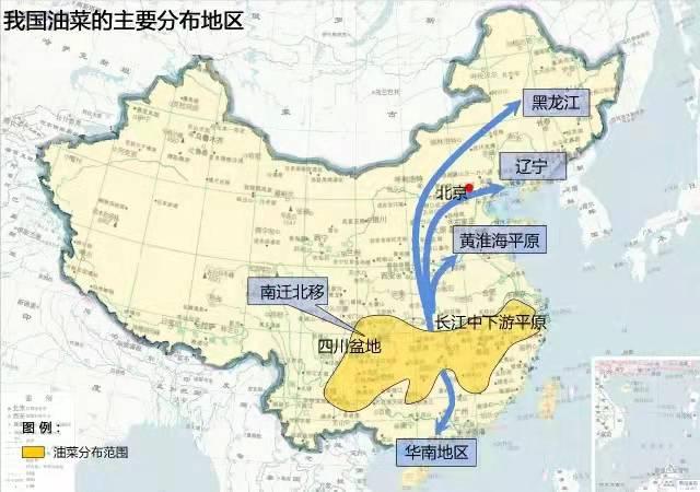【菜籽油期货行情分析图/菜籽油的期货行情】