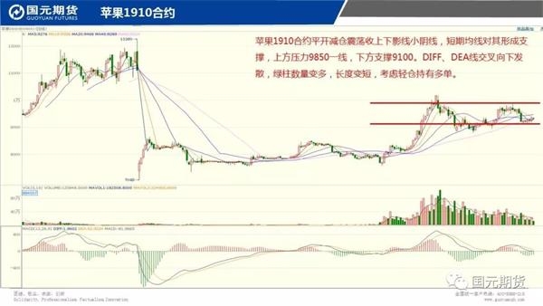 聚丙烯最近的期货行情（聚丙烯期货行情分析）