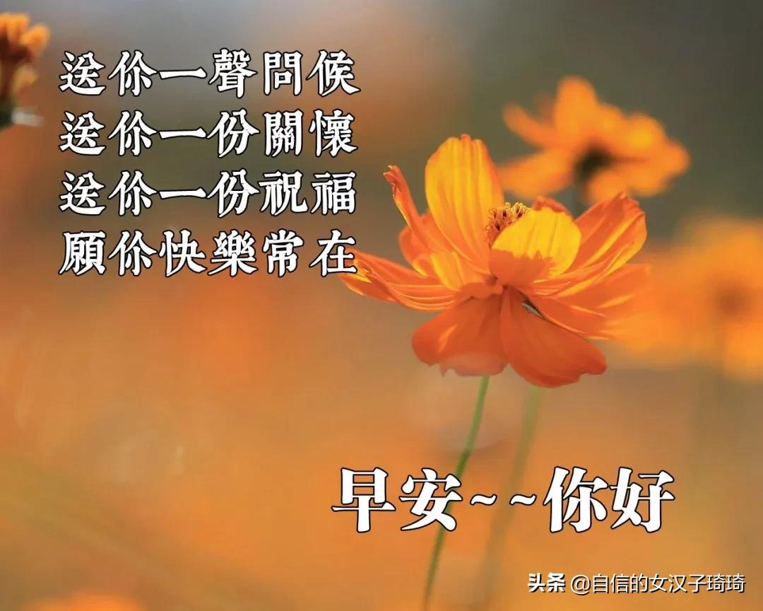 在疫情中成长疫情(在疫情中成长疫情的句子) 在疫情中成长疫情(在疫情中成长疫情的句子)