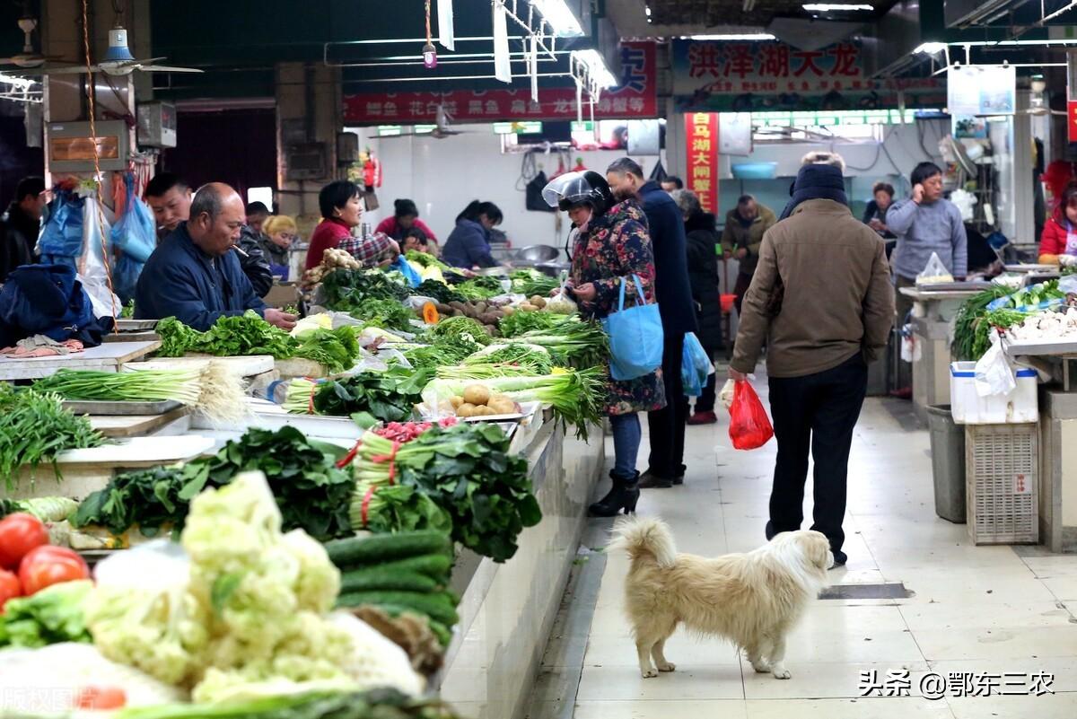 我国期货极端行情表现:我国期货极端行情表现如何 我国期货极端行情表现:我国期货极端行情表现如何