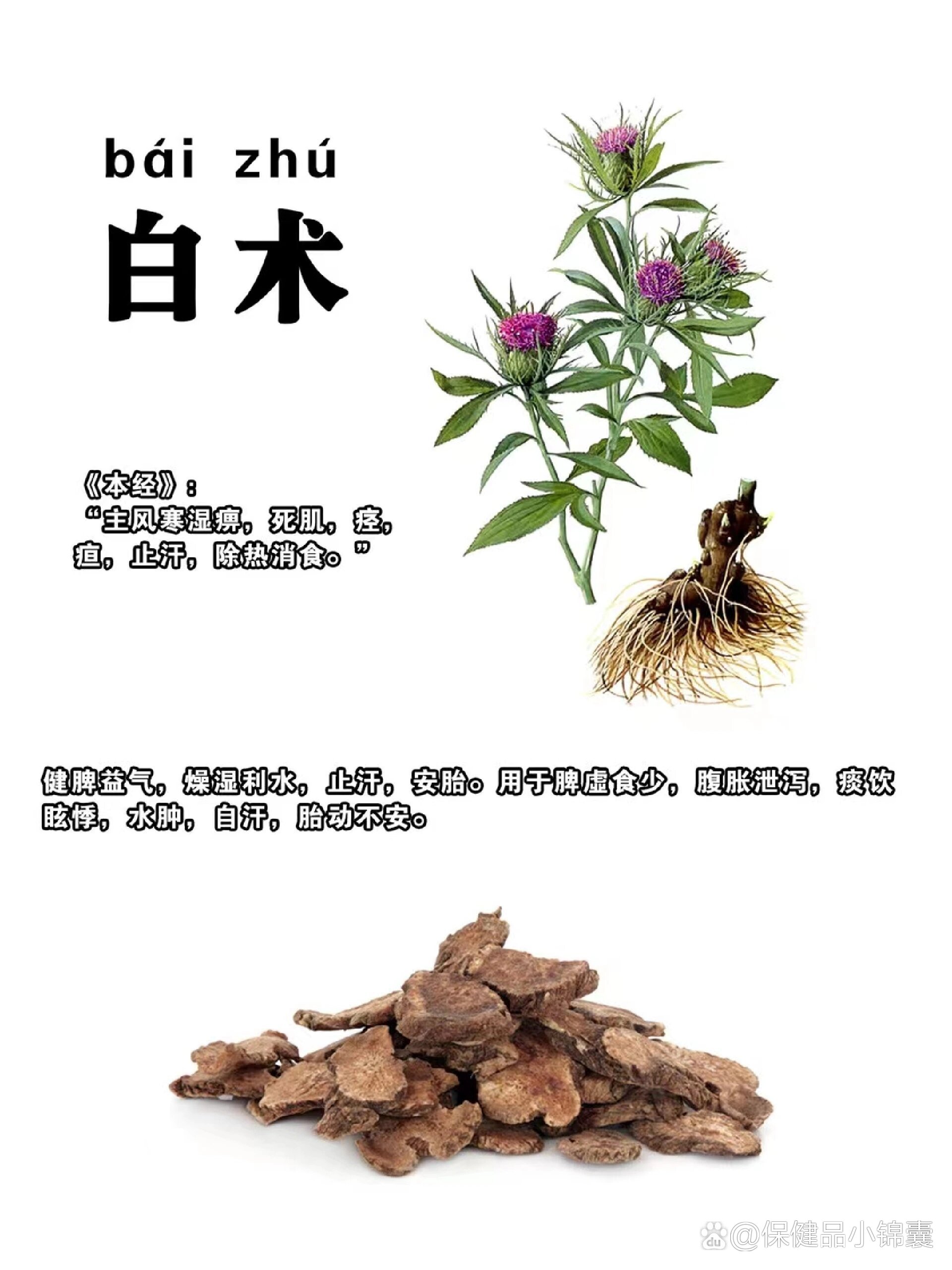 【白术期货行情价格/白术近期价格走势】 【白术期货行情价格/白术近期价格走势】