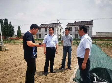 棉花期货行情分析图表:棉花期货行情分析图表最新