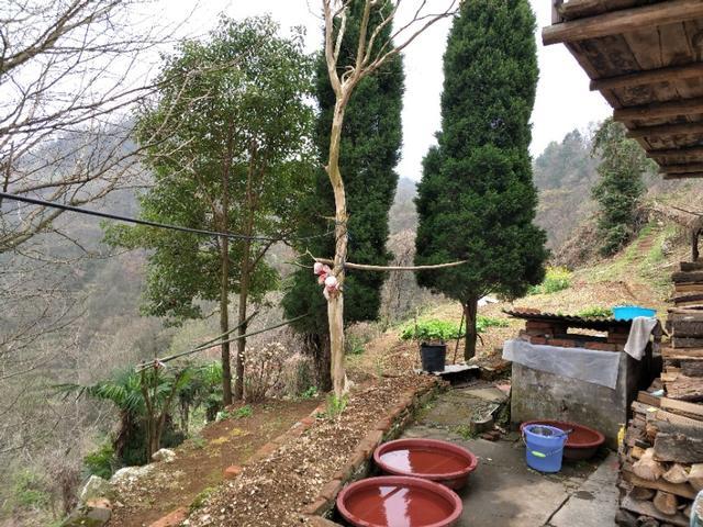 疫情啥时候会解封啊现在(疫情啥时间能解封) 疫情啥时候会解封啊现在(疫情啥时间能解封)
