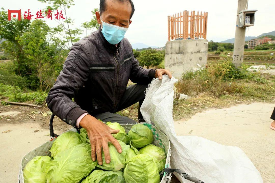 南安疫情/南安疫情防控最新消息 南安疫情/南安疫情防控最新消息