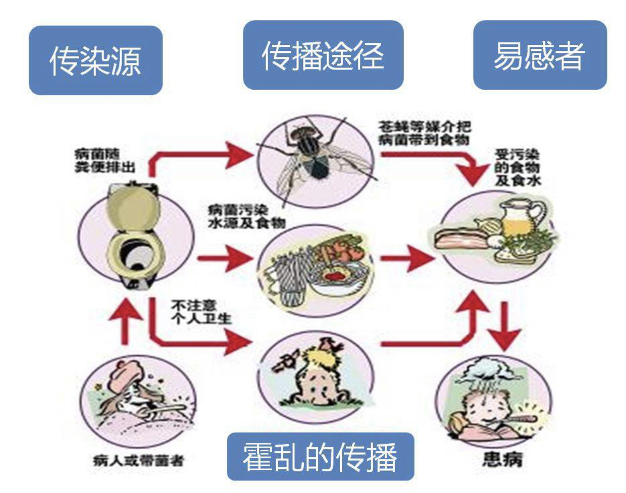 霍乱疫情处置:霍乱疫情处置指南