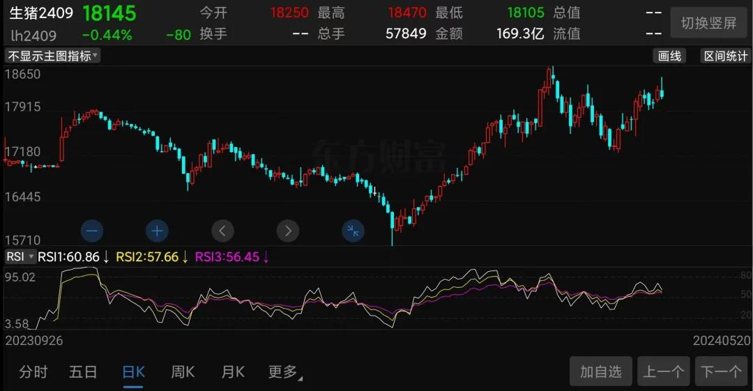 猪肉期货行情分(猪肉期货行情k线图) 猪肉期货行情分(猪肉期货行情k线图)