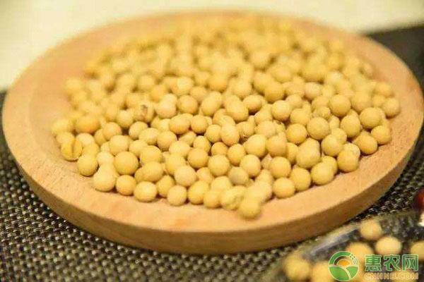 大豆最新行情期货:大豆最新期货价格 大豆最新行情期货:大豆最新期货价格
