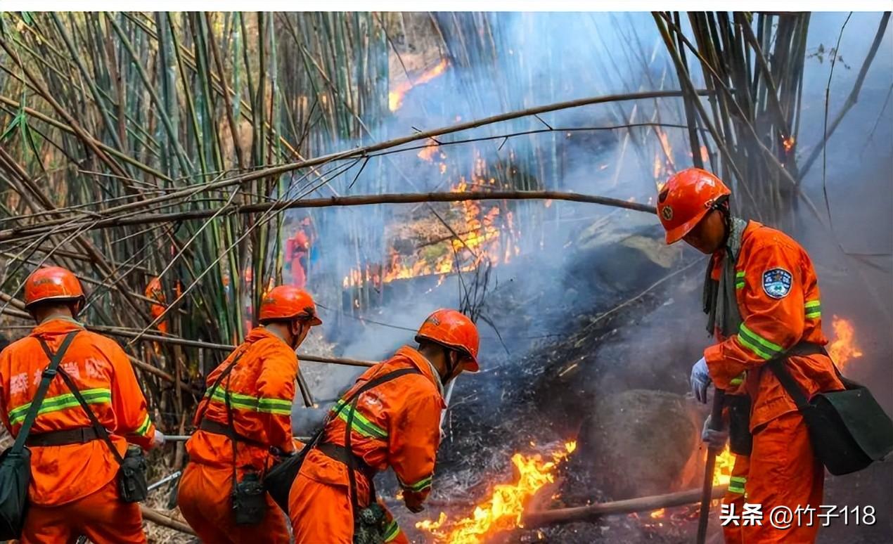 大足疫情(大足区疫情防控最新通告) 大足疫情(大足区疫情防控最新通告)