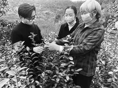 天台疫情防控/天台防疫中心宣布疫情 天台疫情防控/天台防疫中心宣布疫情
