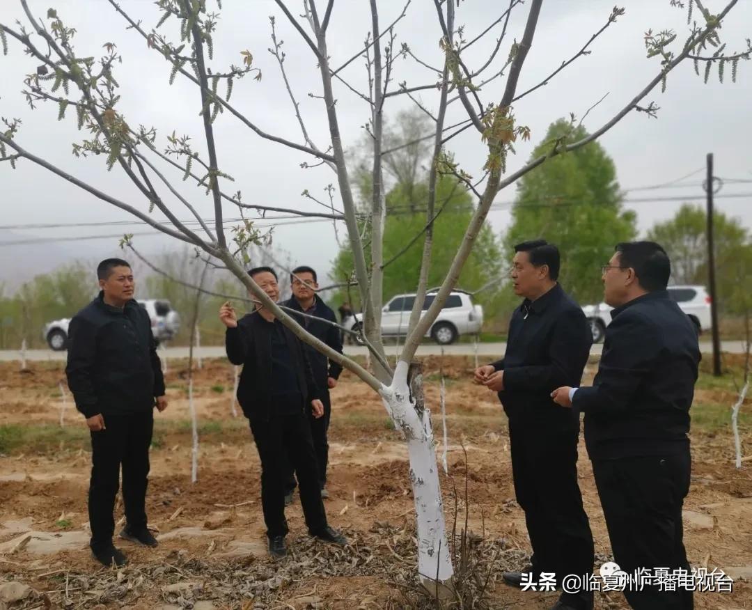 啤疫情的简单介绍 啤疫情的简单介绍